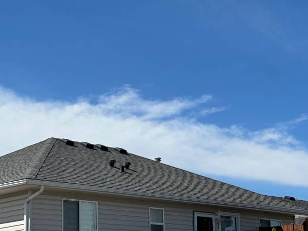 Steel Roofing in Randolph, WI